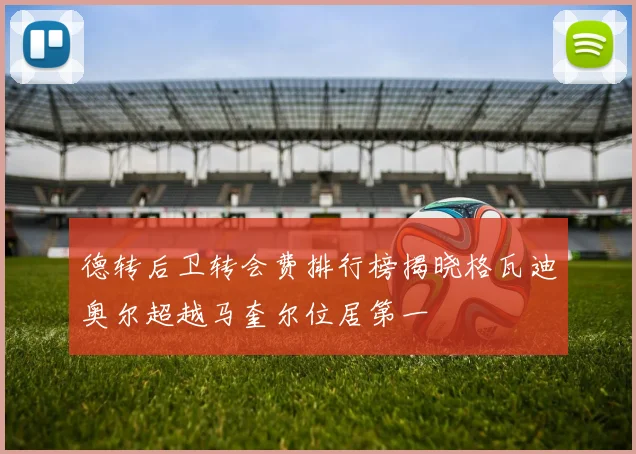 德转后卫转会费排行榜揭晓格瓦迪奥尔超越马奎尔位居第一