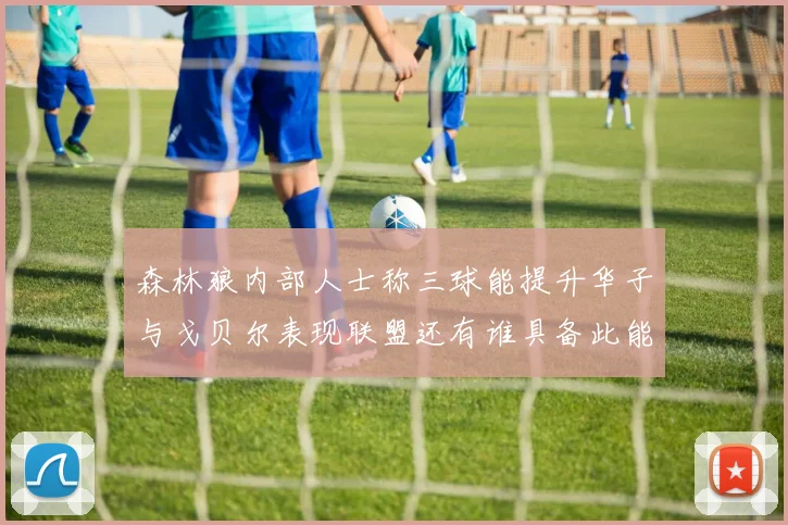 森林狼内部人士称三球能提升华子与戈贝尔表现联盟还有谁具备此能力